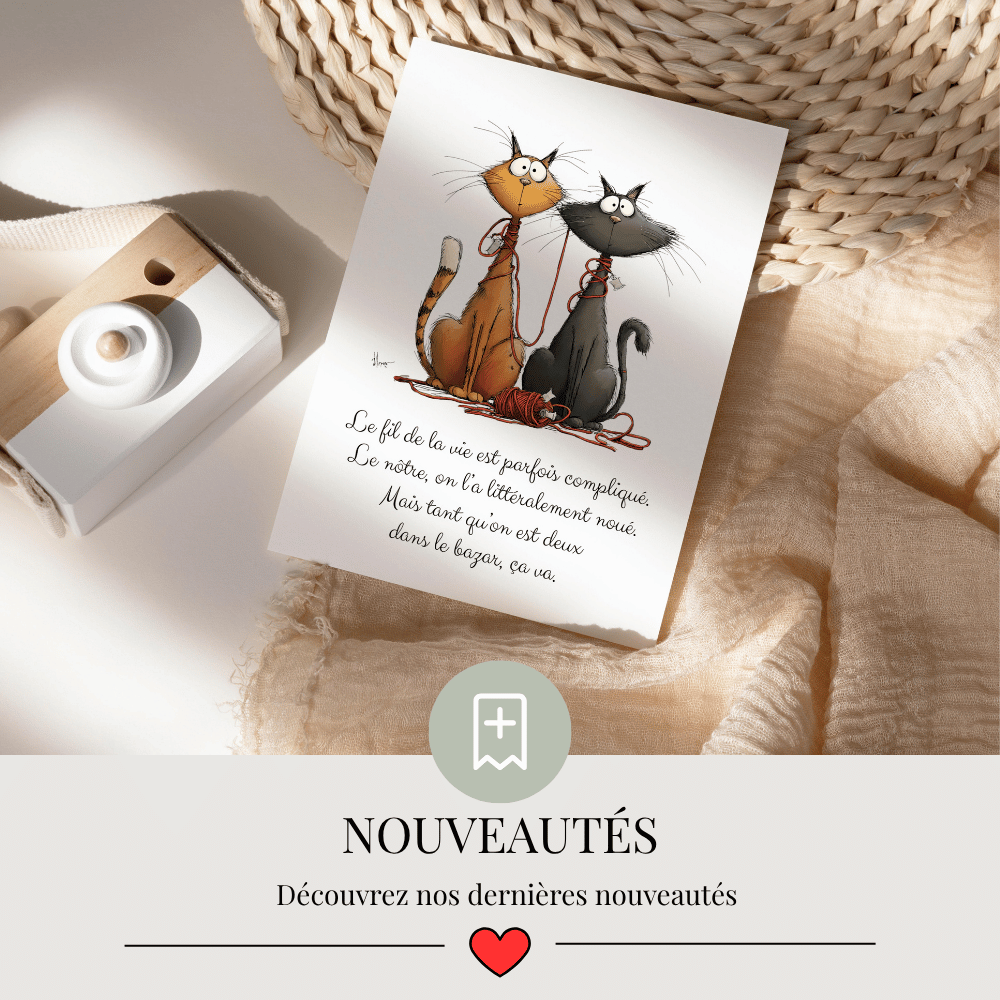 Nouveautés